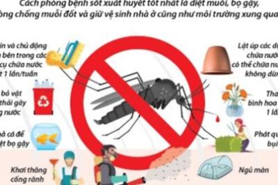 ​ BÀI VIẾT TUYÊN TRUYỀN: SỐT XUẤT HUYẾT VÀ CÁC BIỆN PHÁP PHÒNG NGỪA  ​